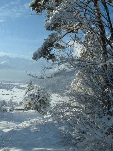Landgasthof Kirchmayer ฟาร์ชอนท์ ภายนอก รูปภาพ