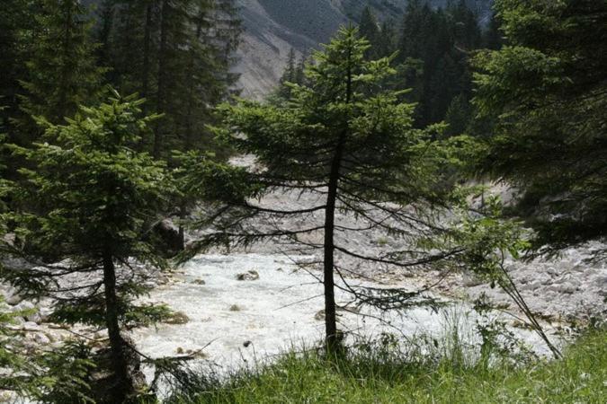 Landgasthof Kirchmayer ฟาร์ชอนท์ ภายนอก รูปภาพ
