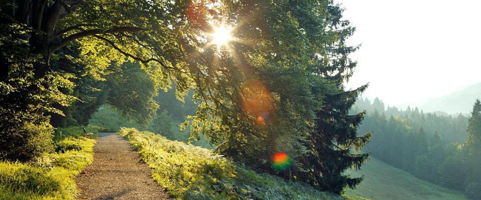 Landgasthof Kirchmayer ฟาร์ชอนท์ ภายนอก รูปภาพ