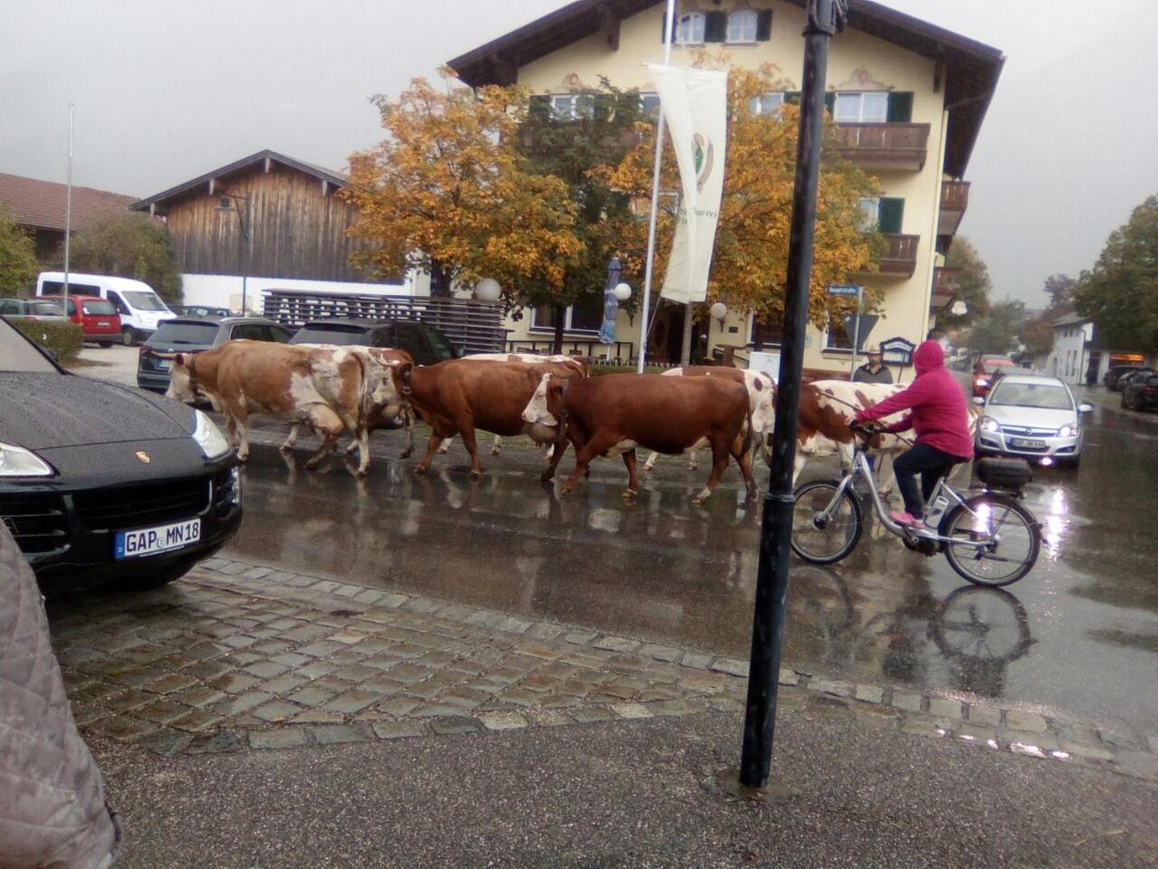 Landgasthof Kirchmayer ฟาร์ชอนท์ ภายนอก รูปภาพ