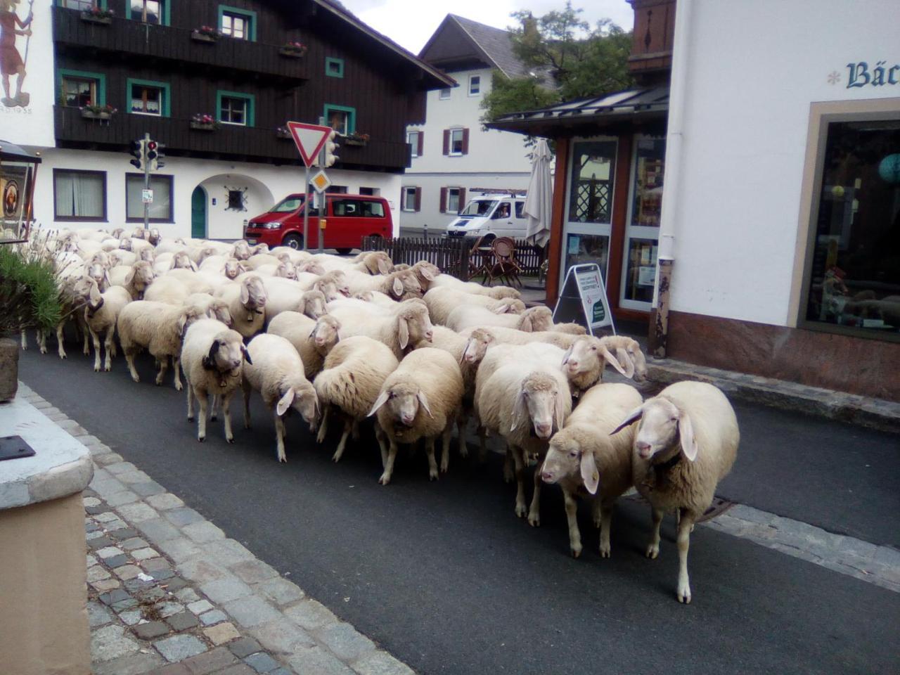 Landgasthof Kirchmayer ฟาร์ชอนท์ ภายนอก รูปภาพ